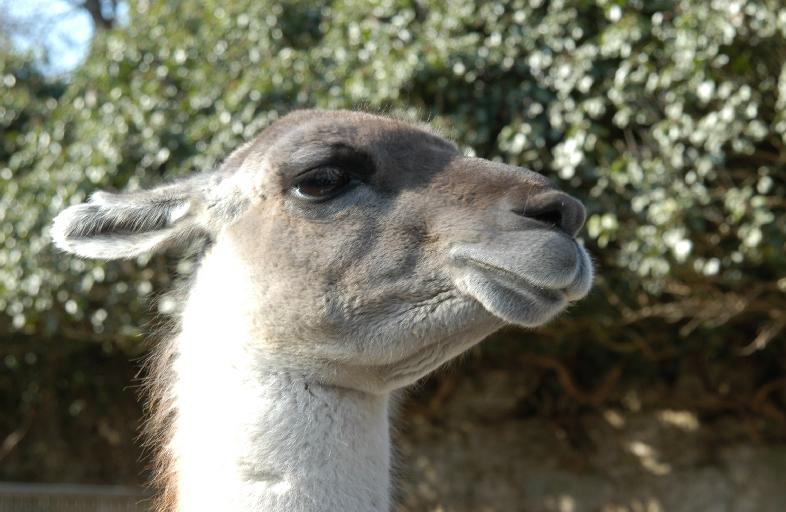 Dsc_5819.jpg