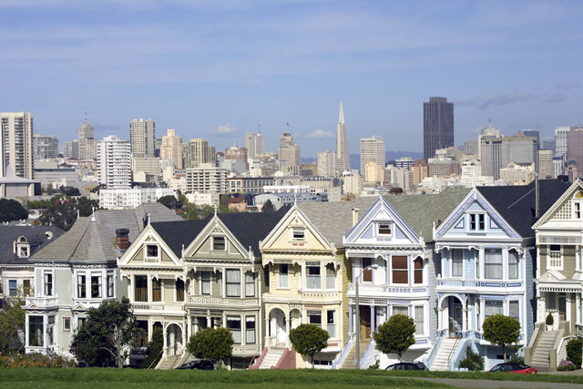 Painted Ladies