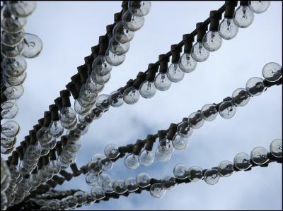 Lamps