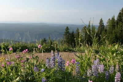 IMG_1945.jpg