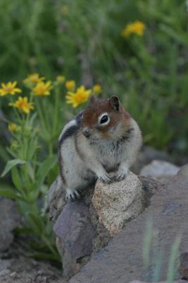 IMG_1977.jpg