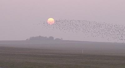 u24/mosko/medium/14589361.sunsetsat1.jpg