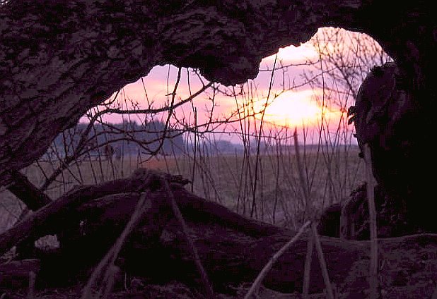 u24/mosko/upload/14461296.Clipboard01sunset.jpg