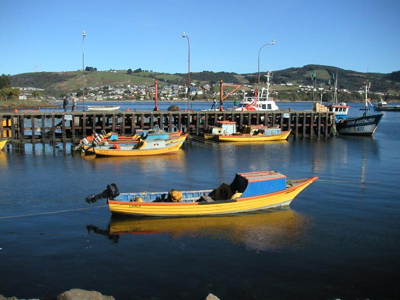 Town harbour