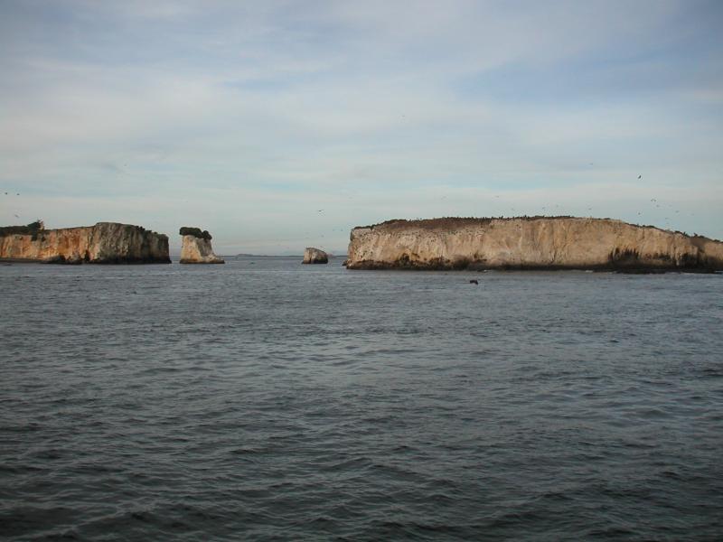 Wee islands
