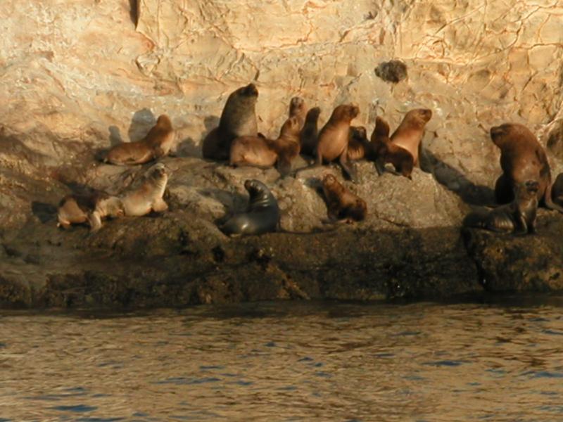 Against the cliff