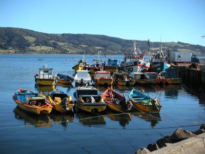 Clam & mussel fishing boats