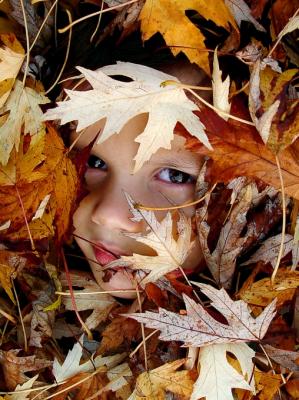 Autumn's hidden face