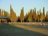 158. cemetery sunset . . . . .