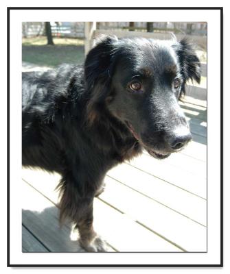 DSC_9287Bear_goofy_eyes.jpg