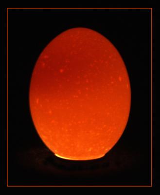 Egg Spot Activity<br>by Ian Yates