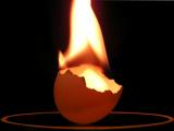 Fire-egg<br>by Bill Dutton