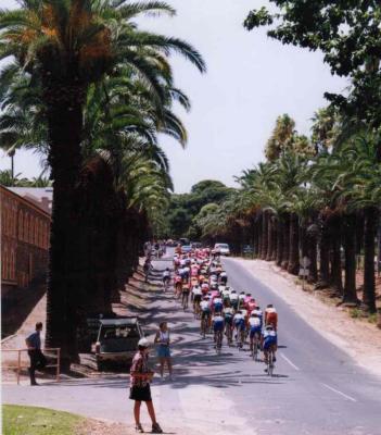 tdu40.jpg