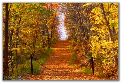 Sentier ferm