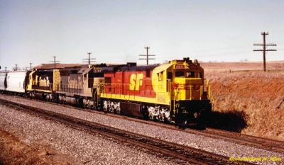 u24/richarda/medium/19771851.ATSF_X9511Ecx.jpg