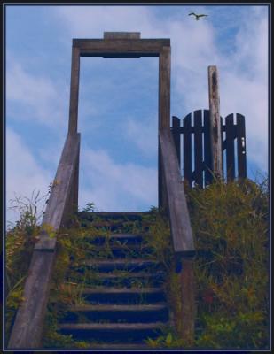 JPG S 2bsM 2  Gull stairway  aPC310070.jpg