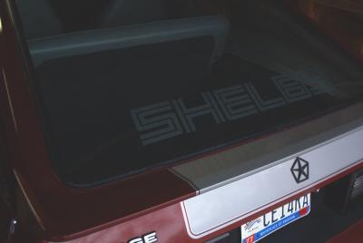 Left Rear Shelby 1.jpg