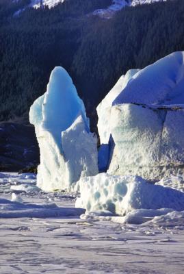 Glacier calf