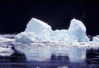 Iceberg in Glacier Bay
