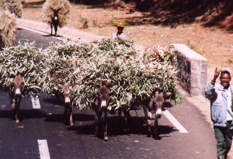 Make the Most of the Tarmac!  Traffic leaving Addis