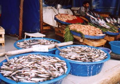 Istanbul Fish Market