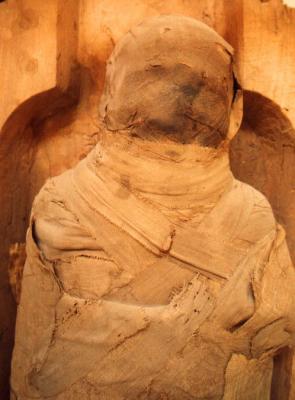 Mummy, Cairo Museum