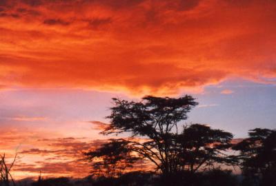 Sunrise.  A Red Sky in the Morning, Overlander's Warning!
