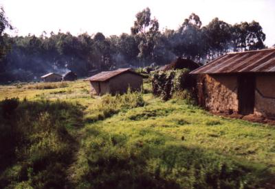Some Houses that Were in Uganda