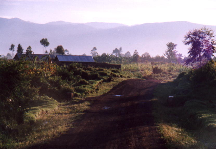 Rwanda in the Morning