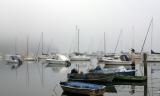 Foggy morning at Careel Bay