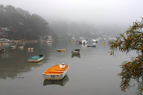 Careel Bay in fog