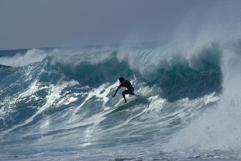 surfer1629.jpg