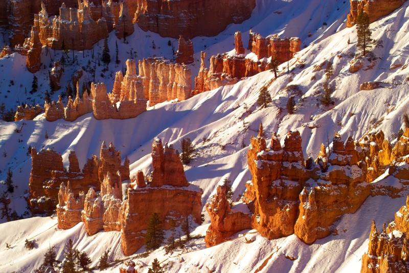 december morning in bryce canyon