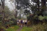 White Road Hike, Big Island, Hawaii