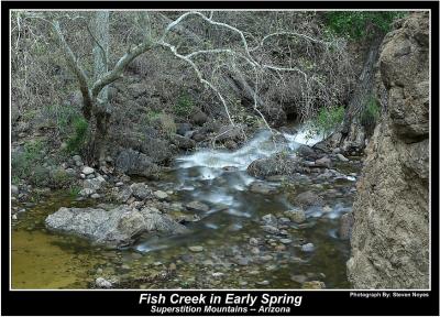 Fish Creek in Early Sprng
