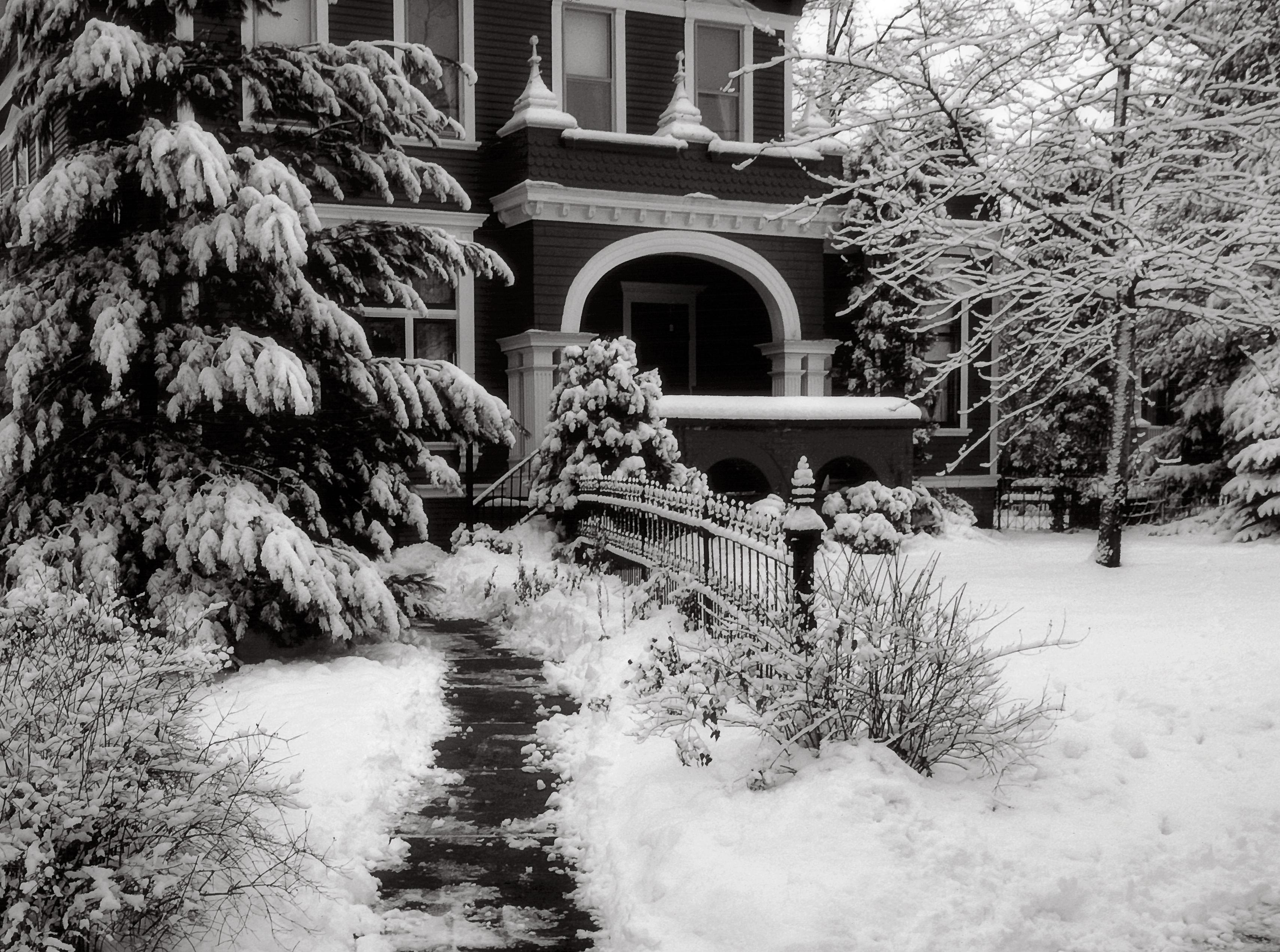 gray house