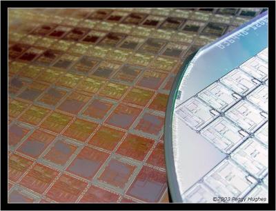 silicon wafers by Peggy