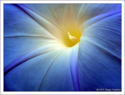 blue morning by Peggy