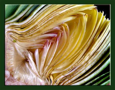 10th - Artichokeby Ann Chaikin