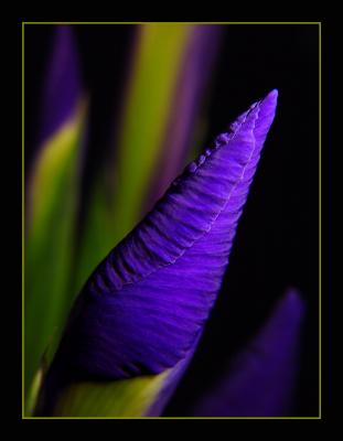 Potential by MFC