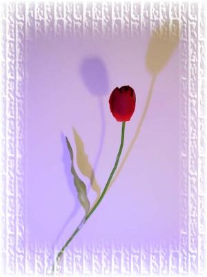 One Object and Two Shadows  by florg