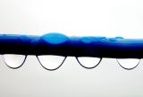 3rd - <B>Online</B><BR><FONT SIZE=2>By Klaus Wiese</FONT>