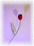 One Object and Two Shadows  by florg