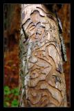 <b>Untitled #03879</b><br>W R Somsky