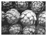 <B>Artichokes</B><BR><FONT size=2>by Ann Chaikin</FONT>