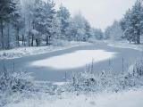 <B>Bispingen pond</B><br>by Willem