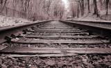 tracks by Harry Behret