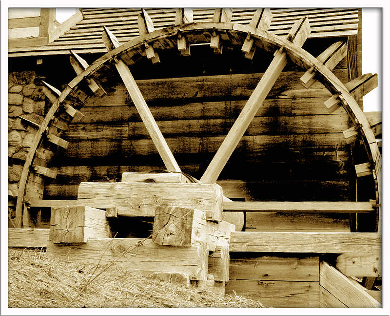 3rd<br><br>Water Wheel by Camera Slug
