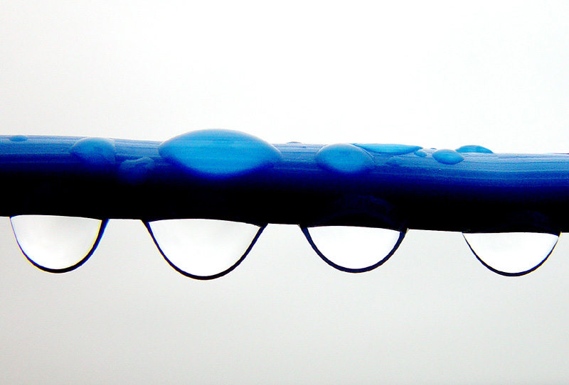 3rd - <B>Online</B><BR><FONT SIZE=2>By Klaus Wiese</FONT>