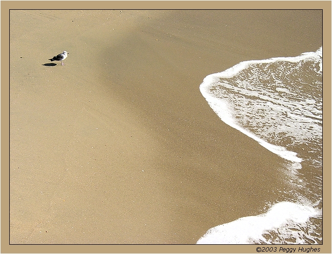 2nd - beach by Peggy